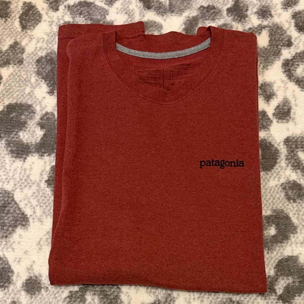 Patagonia Men's short Sleeve Brick Red Tee